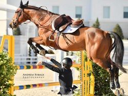 Awas Foto Ini Menyesatkan Mata Bila Dilihat Sekilas