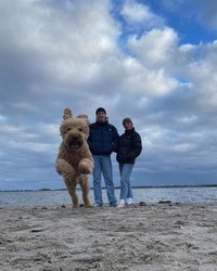 Foto Menyesatkan