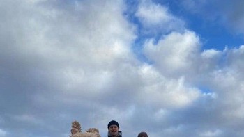Anjing di foto seperti sedang berdiri dengan dua kaki. Foto: Reddit