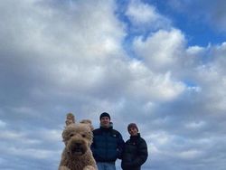 Awas Foto Ini Menyesatkan Mata Bila Dilihat Sekilas