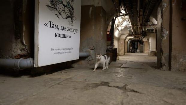 Istana Kucing di Ruang Bawah Tanah Museum Hermitage