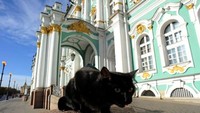 Hampir sekitar 50 kucing berkeliaran di bawah tana Museum Hermitage. Mereka diperlakukan seperti bangsawan! (Getty Images)