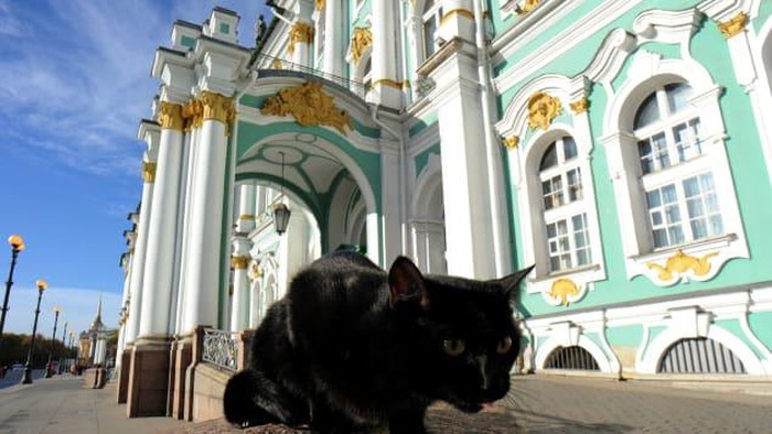 Istana Kucing di Ruang Bawah Tanah Museum Hermitage Istana Kucing di Ruang Bawah Tanah Museum Hermitage