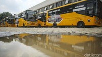 Bus baru dari pabrikan Isuzu ini rencananya akan datang bertahap.