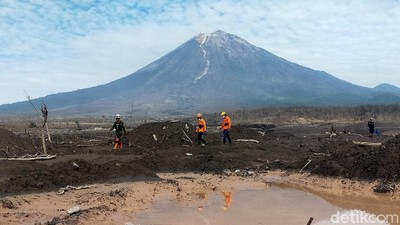 Kerja Keras Tim SAR Gabungan Cari Korban Erupsi Semeru