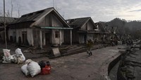 Warga mengangkat barang beharga dari rumahnya yang rusak akibat awan panas guguran Gunung Semeru di Dusun Curah Kobokan, Pronojiwo, Lumajang, Jawa Timur.