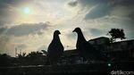 Secuil Cerita dari Kampung Pulo di Ujung Senja