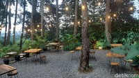 Kafe ini dikelilingi pepohonan pinus dan jauh dari keramaian kota. Suasananya menyejukkan dan masih sangat asri. (Luthfi hafidz/detikcom)