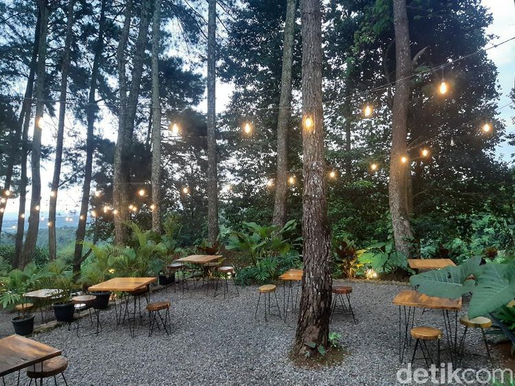 Foto: Asri Banget, Kafe di Bogor Ini Dikelilingi Pepohonan Pinus