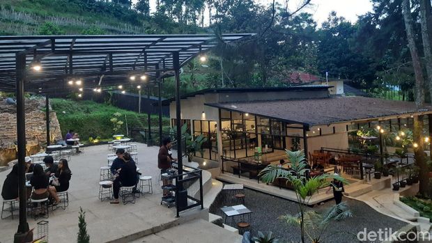 Nikmatnya Menyruput Kopi Di Tengah Pepohonan Pinus Aranya Coffee and Forest