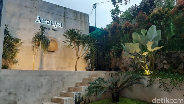Nikmatnya Menyruput Kopi Di Tengah Pepohonan Pinus Aranya Coffee and Forest