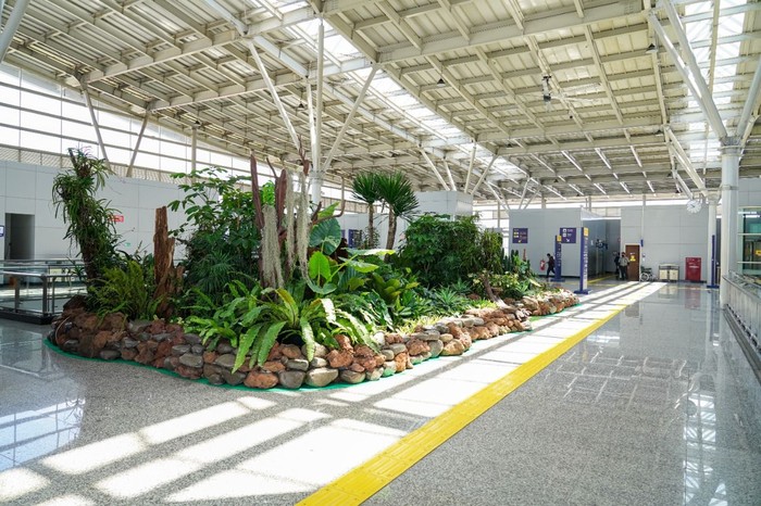 Pohon di Stasiun Bandung