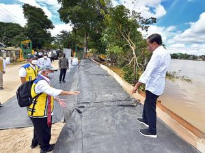 Jokowi Minta KLHK dan Pebisnis Hijaukan Daerah Aliran Sungai di Sintang