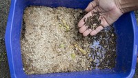 Setelah adanya pengelolaan sampah yang lebih intensif tersebut kini jumlah sampah residu atau yang tidak bisa dimanfaatkan lagi semakin sedikit. Dari rata-rata 700 kilogram sampah yang diproduksi warga Sabira setiap bulan, sekitar 500 kilogram di antaranya bisa didaur ulang dan diambil manfaatnya.