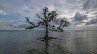 “Selama bertahun-tahun kami hanya menimbunnya di dalam tanah,” kata seorang warga Sabira, Agung. Alhasil, sekitar 20 persen dari pulau seluas 8,8 hektare itu merupakan timbunan sampah. Warga khawatir bila penimbunan ini terus dilakukan, sampah-sampah akan menutupi seluruh pulau.