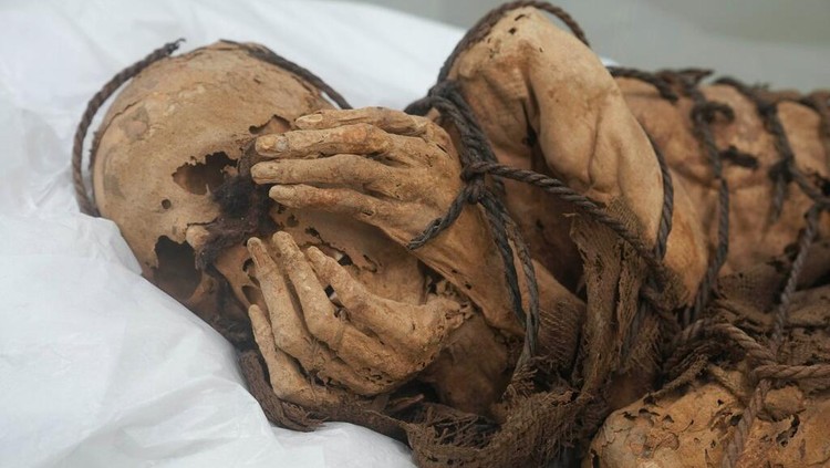 A mummy from 800-1200 AD is displayed at San Marcos University in Lima, Peru, Tuesday, Dec. 7, 2021. According to archeologists, the mummy was buried with its hands covering its face and wrapped with rope in Cajamarquilla, near Perus Capital. (AP Photo/Martin Mejia)