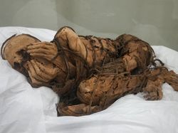 Berusia 1.000 Tahun, Mumi Ini Kondisinya Masih Utuh