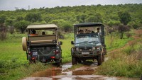 Hanya ada beberapa pengunjung dalam wisata berkeliling yang dipimpin oleh pemilik Tamboti Bush Lodge Fred Plachesi di cagar alam Dinokeng dekat Hammanskraal, Afrika Selatan.