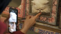 Museum ini dimulai sebagai kafe dan tempat pameran kucing. Ada berbagai jenis kucing yang dapat dilihat para pengunjung di sana.