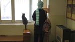 Ada di Iran, Museum Ini Surganya Para Pecinta Kucing
