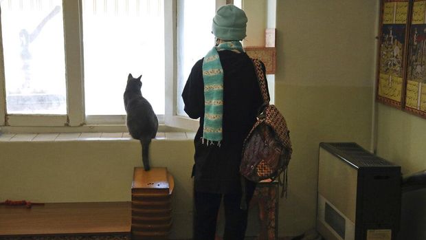 Sebuah rumah tua di Iran disulap menjadi museum kucing. Di sana pengunjung dapat melihat berbagai jenis kucing yang di antaranya diselamatkan dari jalanan.