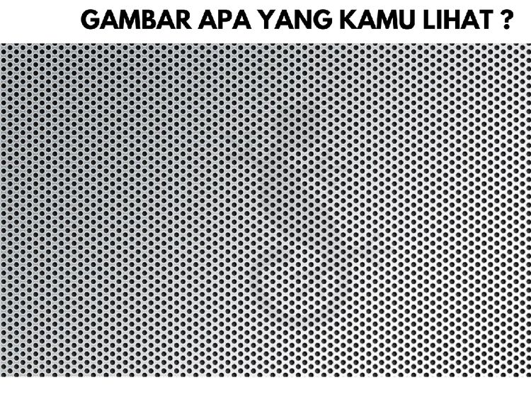 Bisa Lihat Hewan Ini? Kalau Kelihatan Artinya Mata Kamu Masih Normal