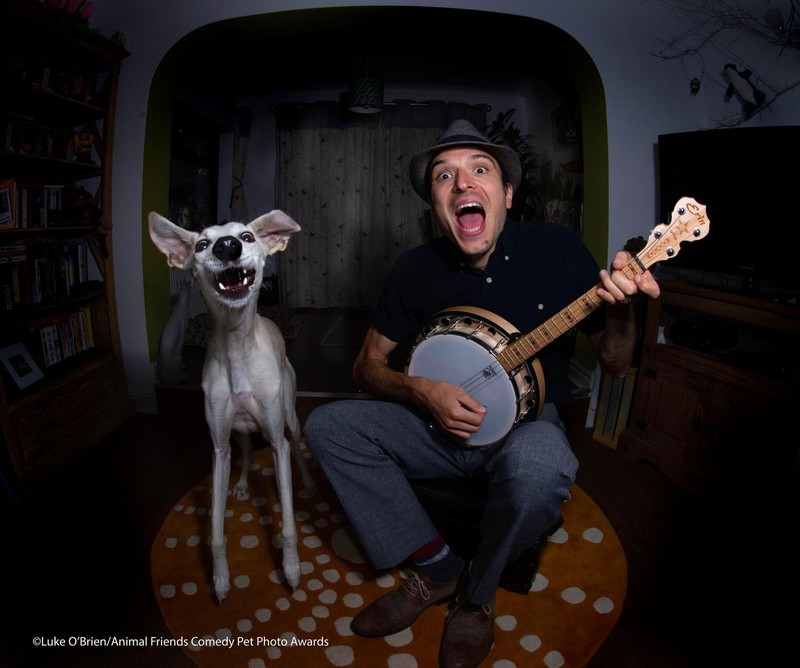 Comedy Pet Photography Awards 2021