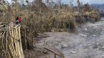 Nekat! Wisatawan Dekati Jalur Lahar Semeru Demi Konten