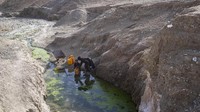 Kekeringan yang melanda kawasan Afghanistan kian parah imbas krisis iklim. Warga Desa Kamar Kalagh, Afghanistan, pun harus bertahan hidup di tengah kekeringan, (9/12/2021). AP/Fernando Vergara