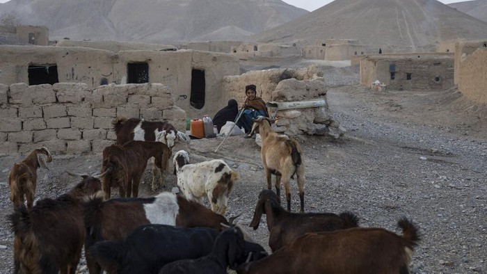 Kekeringan yang melanda kawasan Afghanistan kian parah imbas krisis iklim. Warga Desa Kamar Kalagh, Afghanistan, pun harus bertahan hidup di tengah kekeringan.