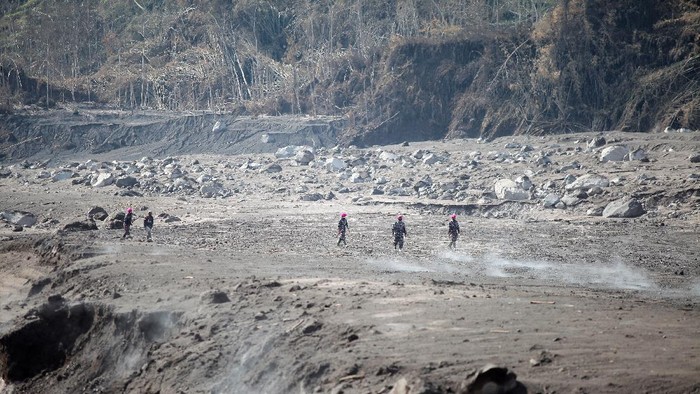 Petugas kepolisian bersama anjing pelacak melintas di jalur material guguran awan panas Gunung Semeru di Curah Koboan, Pronojiwo, Jawa Timur, Kamis (9/12/2021). Pencarian korban guguran awan panas Gunung Semeru difokuskan di sejumlah titik di antaranya Kajar Kuning, Sumber Wuluh, Curah Koboan dan Pronojiwo. ANTARA FOTO/Umarul Faruq/hp.