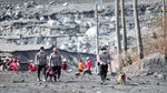 Anjing Pelacak Bantu Pencarian Korban Letusan Gunung Semeru