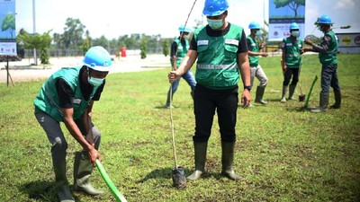 Pohon Trembesi Hijaukan Tol Trans Sumatera