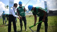 Pohon trembesi adalah pohon yang kuat. Tingginya bisa mencapai 20 meter dengan kayu yang berkarakter awet dan bercorak menarik serta termasuk dalam jenis tanaman dengan daya serap tinggi terhadap karbon.