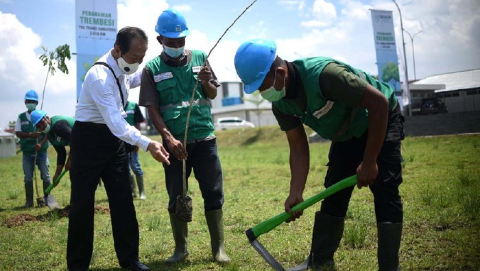 Sebanyak 15.000 pohon trembesi akan ditanam di sepanjang Jalan Tol Trans Sumatera di 140 km ruas Bakauheni-Terbanggi Besar. Penghijaun ditargetkan selesai pada 2030.