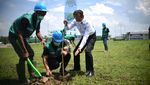 Pohon Trembesi Hijaukan Tol Trans Sumatera