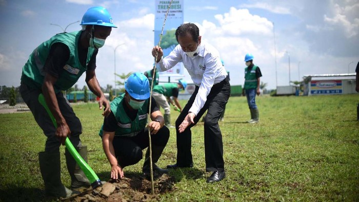 Sebanyak 15.000 pohon trembesi akan ditanam di sepanjang Jalan Tol Trans Sumatera di 140 km ruas Bakauheni-Terbanggi Besar. Penghijaun ditargetkan selesai pada 2030.