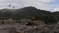Sejumlah burung merpati terbang mengitari rumah warga yang tertimbun pasir di Dusun Kamar Kajang, Candipuro, Lumajang, Jawa Timur.