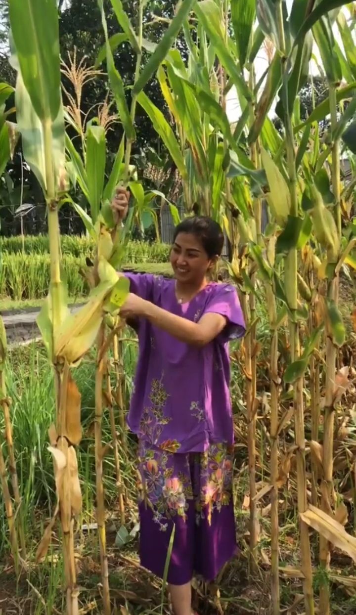 Sarwendah Ajak Anak Panen Hasil Kebun Sendiri