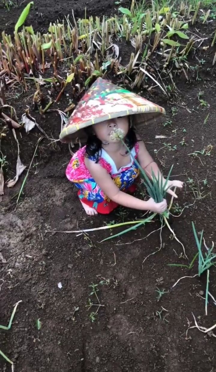 Sarwendah Ajak Anak Panen Hasil Kebun Sendiri