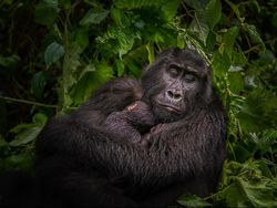 Foto Pemenang 360º Photo Awards 2021 Bikin Terpukau