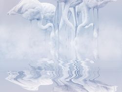 Foto Pemenang 360º Photo Awards 2021 Bikin Terpukau