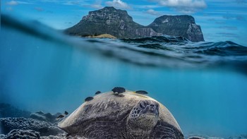 Juara ke-7 kategori Creative karya Robin Moon Foto: 360º Photo Awards