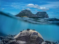 Foto Pemenang 360º Photo Awards 2021 Bikin Terpukau