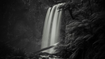 Juara kategori Landspace Portfolio diraih Grant Galbraith Foto: 360º Photo Awards