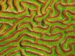 Foto Pemenang 360º Photo Awards 2021 Bikin Terpukau