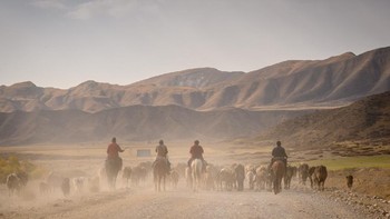 Juara kategori Travel diraih Karen Massier Foto: 360º Photo Awards