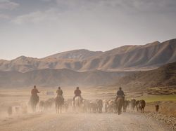 Foto Pemenang 360º Photo Awards 2021 Bikin Terpukau