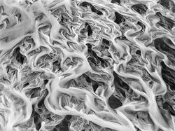 Foto Pemenang 360º Photo Awards 2021 Bikin Terpukau