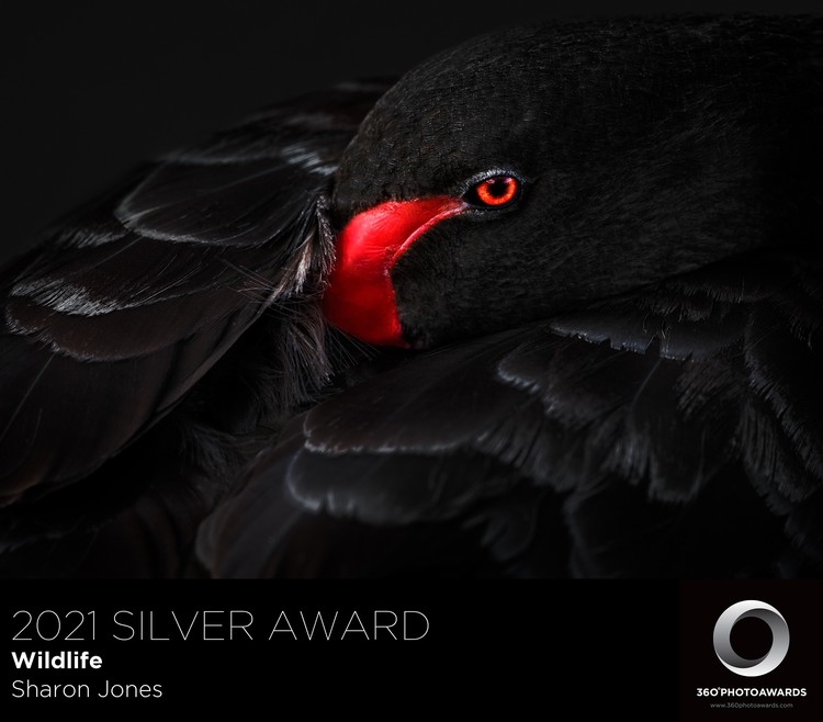 360º Photo Awards 2021